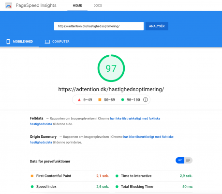 Hastighedsoptimering med Google pagespeed insights 97 score
